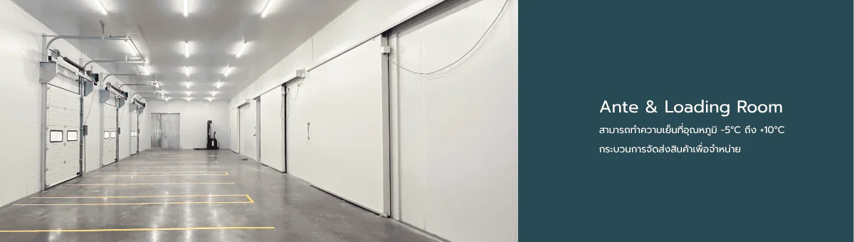 Ante & Loading Room-01-07-th